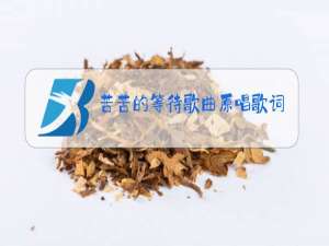 苦苦的等待歌曲原唱歌词