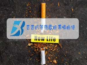 苦苦的等待歌曲原唱曲谱