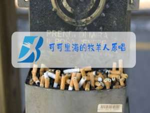 可可里海的牧羊人原唱