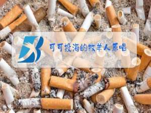 可可投海的牧羊人原唱