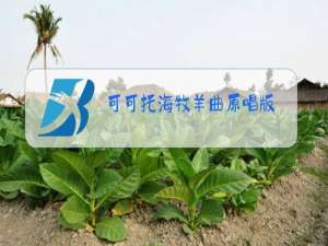 可可托海牧羊曲原唱版