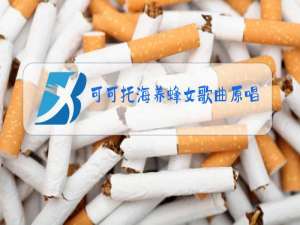 可可托海养蜂女歌曲原唱