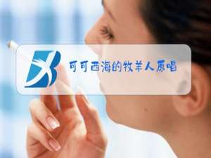 可可西海的牧羊人原唱