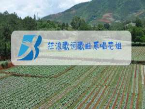 狂浪歌词歌曲原唱花姐