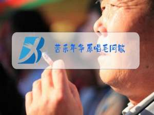 苦乐年华原唱毛阿敏