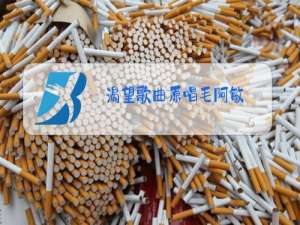 渴望歌曲原唱毛阿敏