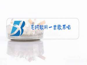 毛阿敏同一首歌原唱