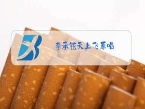 李承铉天上飞原唱