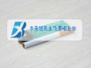 李承铉天上飞原唱是谁