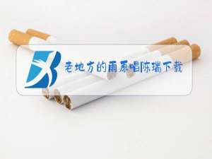 老地方的雨原唱陈瑞下载