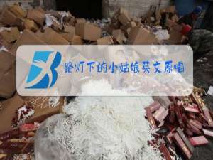 路灯下的小姑娘英文原唱