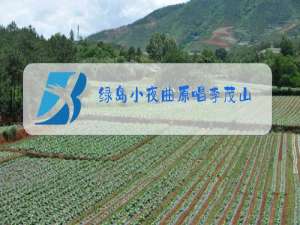 绿岛小夜曲原唱李茂山