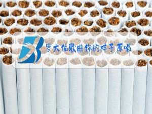 罗大佑歌曲你的样子原唱视频