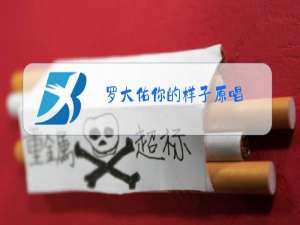 罗大佑你的样子原唱