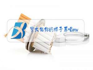 罗大佑你的样子原唱mv