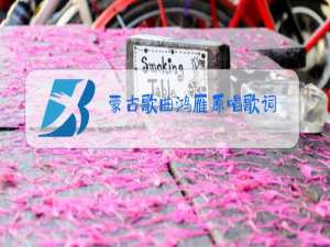 蒙古歌曲鸿雁原唱歌词