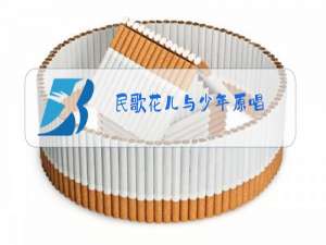 民歌花儿与少年原唱