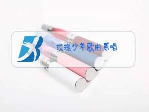 玫瑰少年歌曲原唱