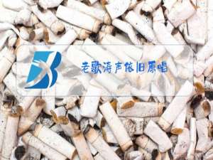 老歌涛声依旧原唱