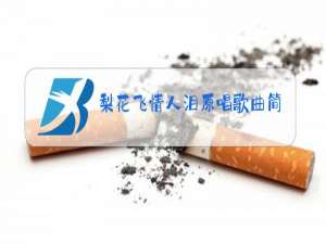 梨花飞情人泪原唱歌曲简谱