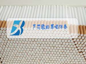 芦花歌曲原唱伴奏