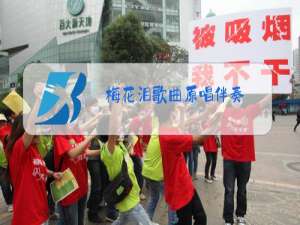 梅花泪歌曲原唱伴奏