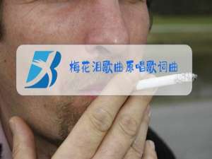 梅花泪歌曲原唱歌词曲