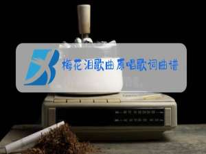 梅花泪歌曲原唱歌词曲谱