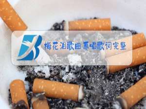 梅花泪歌曲原唱歌词完整