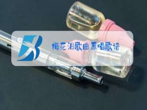 梅花泪歌曲原唱歌谱