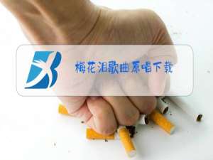 梅花泪歌曲原唱下载