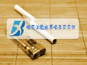 梅花泪歌曲原唱云菲菲伴奏