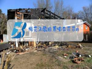 梅花泪歌曲原唱云菲菲mp3