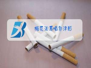 梅花泪原唱郭津彤