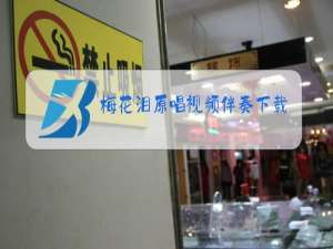 梅花泪原唱视频伴奏下载