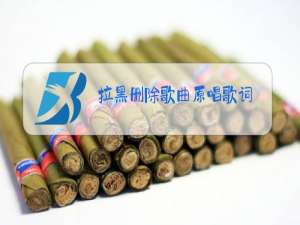 拉黑删除歌曲原唱歌词