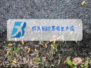 拉黑删除原唱女声版