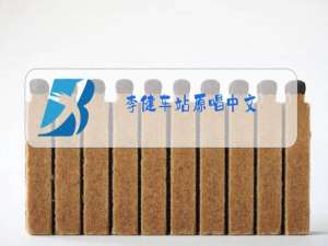 李健车站原唱中文