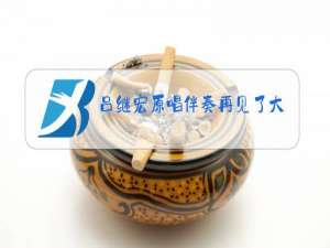 吕继宏原唱伴奏再见了大别山加合唱伴奏