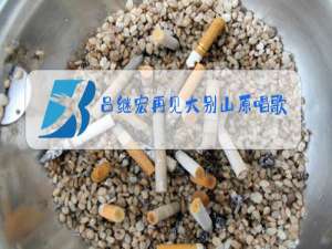 吕继宏再见大别山原唱歌词