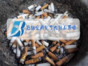 吕继宏再见了大别山原唱什么调