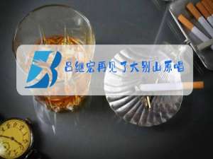 吕继宏再见了大别山原唱伴奏