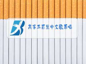 离家五百里中文歌原唱