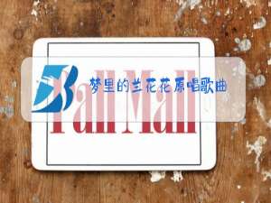 梦里的兰花花原唱歌曲