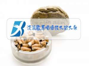 流浪歌原唱播放九拾九朵玫瑰