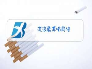 流浪歌原唱简谱