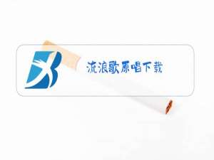流浪歌原唱下载