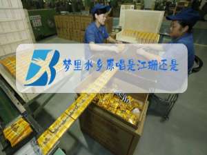 梦里水乡原唱是江珊还是陈红