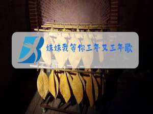 妹妹我等你三年又三年歌曲原唱