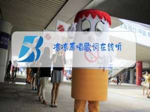 凉凉原唱歌词在线听